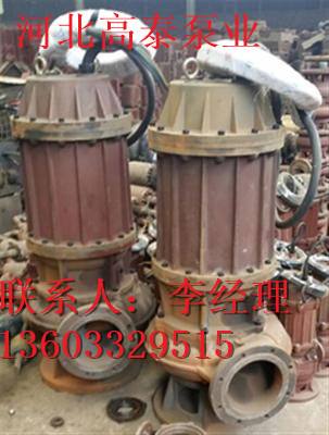 65WQ20-60-11排污泵